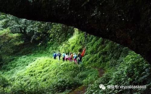 昆明动物园2只猫新进展!半夜起床吃喝排便,网友破防:心里踏实了